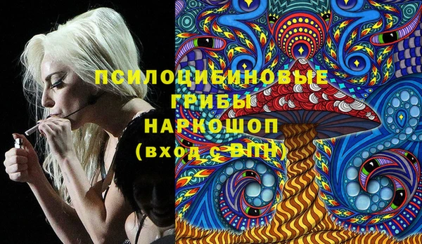 метадон Алексин