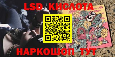 гидра Можга