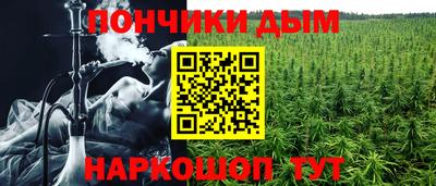 гидропоника Моздок