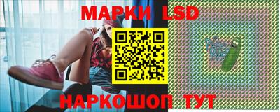 гидра Можга