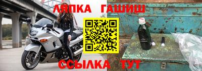 гидра Можга