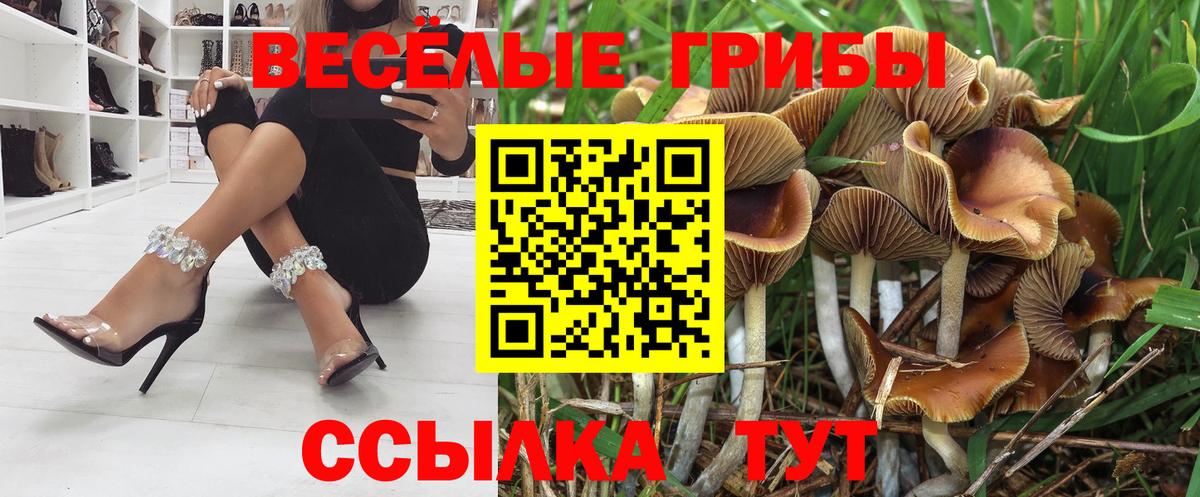 Галлюциногенные грибы прущие грибы Переславль-Залесский
